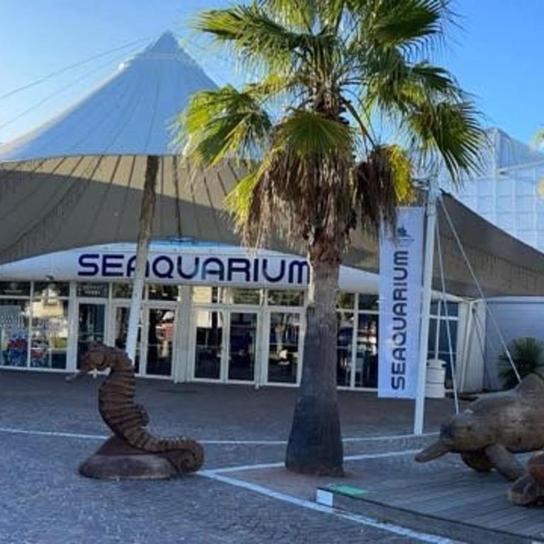 Studio cabine équipé pour 4 pers avec parking privé à 2 min de la mer au Grau-du-Roi - FR-1-307-210 - Monolocale - 23