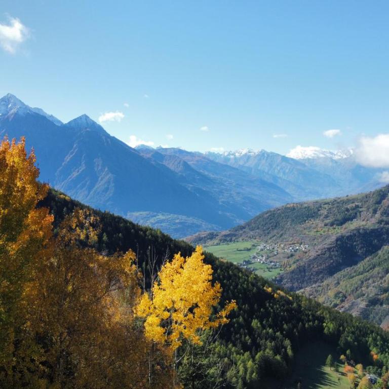 Baita La Pesse - Ad un passo dalle stelle - Casa con 5 Camere da Letto - 19