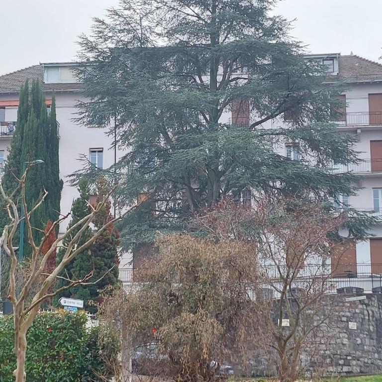 Le Mirabeau Vue Lac - Apartamento de 1 dormitorio - 2
