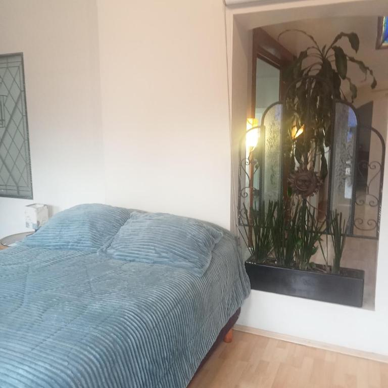 LA CASA DEL NARANJO - Two-Bedroom Apartment - 7