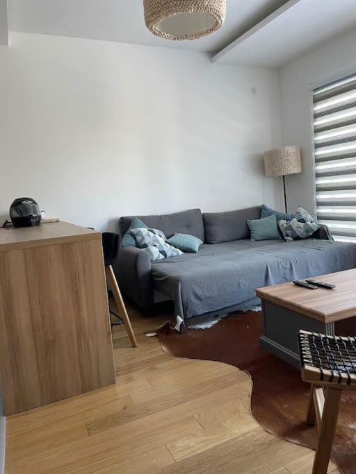 Anja Sousza Apartment - Apartman sa 1 Spavaćom Sobom - 20