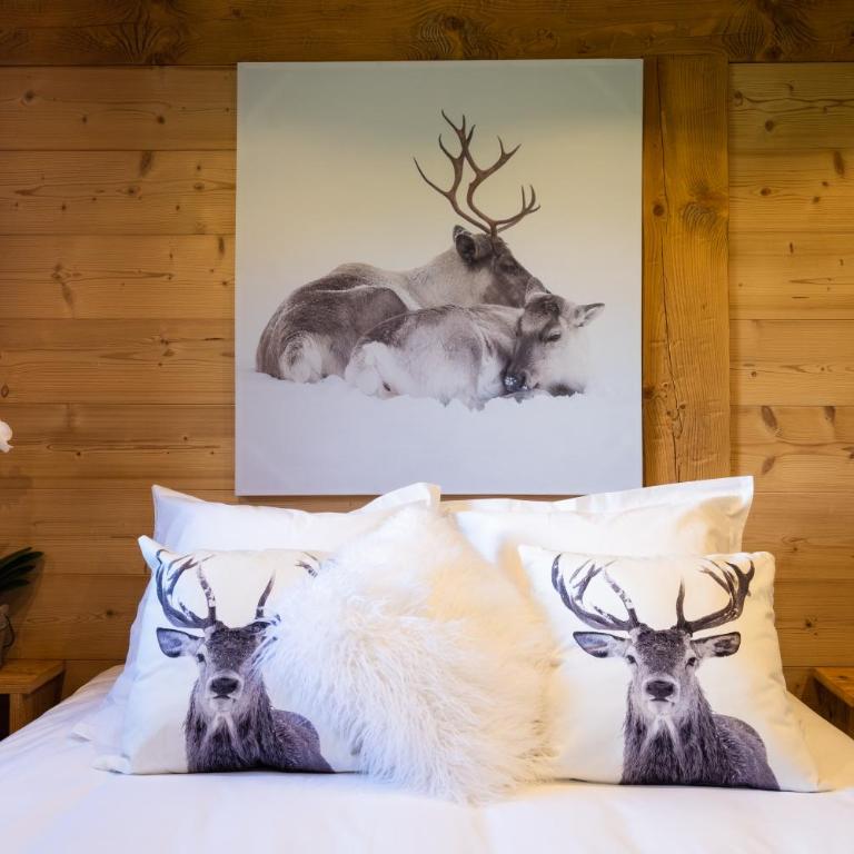Chalets des Aravis Kitz et Buhel avec Jacuzzi 12 et 15 personnes - Chalet Supérieur - 42