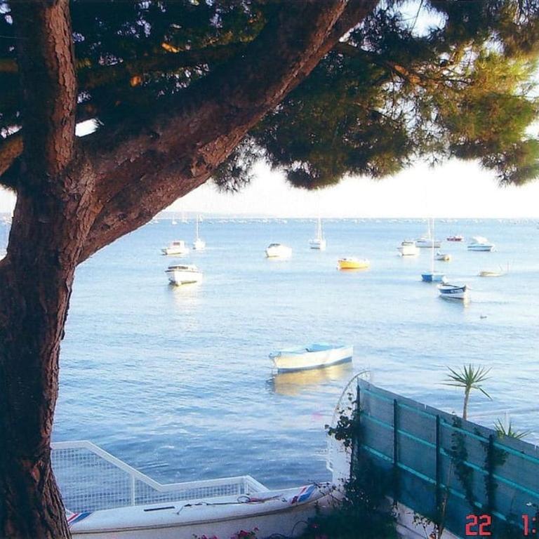 Clair Matin Villa - Villa - 19