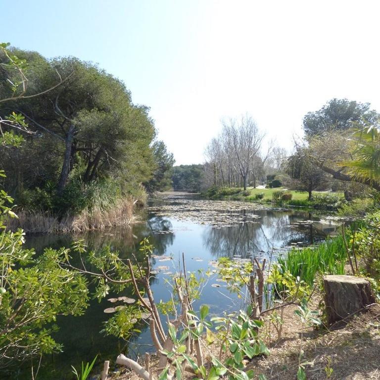 150 m plage, domaine privé avec piscine - Studio - 2
