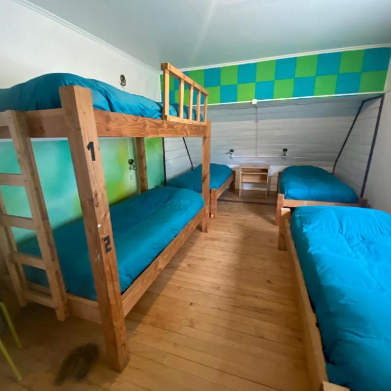 La Guapa Hostel - Single Bed in Mixed Dormitory Room - 8