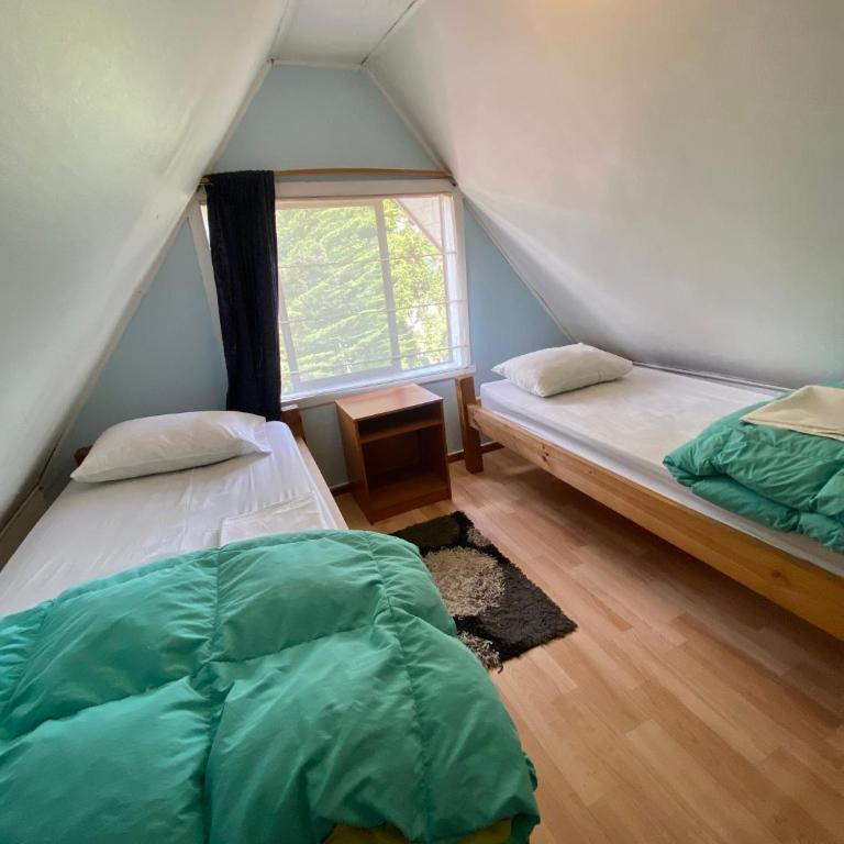 La Guapa Hostel - Twin Room with Shared Bathroom - 3