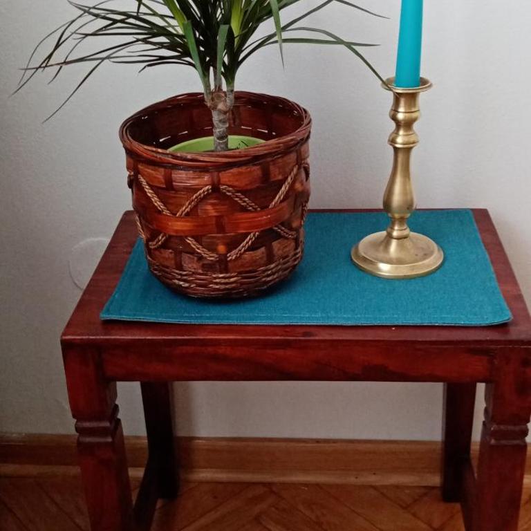 TESLA Romantic Cradle-BIG Winter-PROMO Discount - Apartman sa 1 Spavaćom Sobom - 18