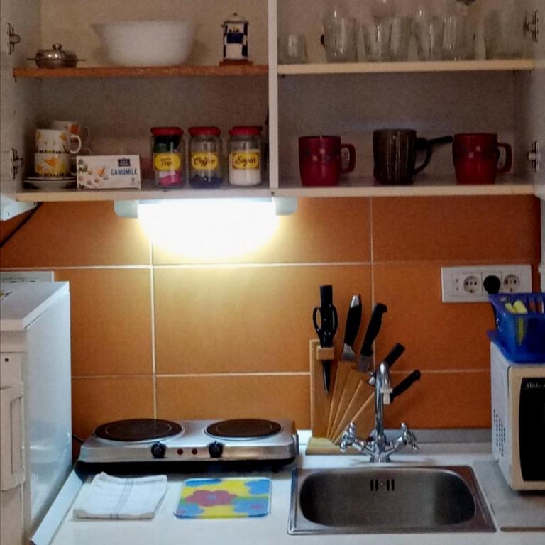 TESLA Romantic Cradle-BIG Winter-PROMO Discount - Apartman sa 1 Spavaćom Sobom - 48