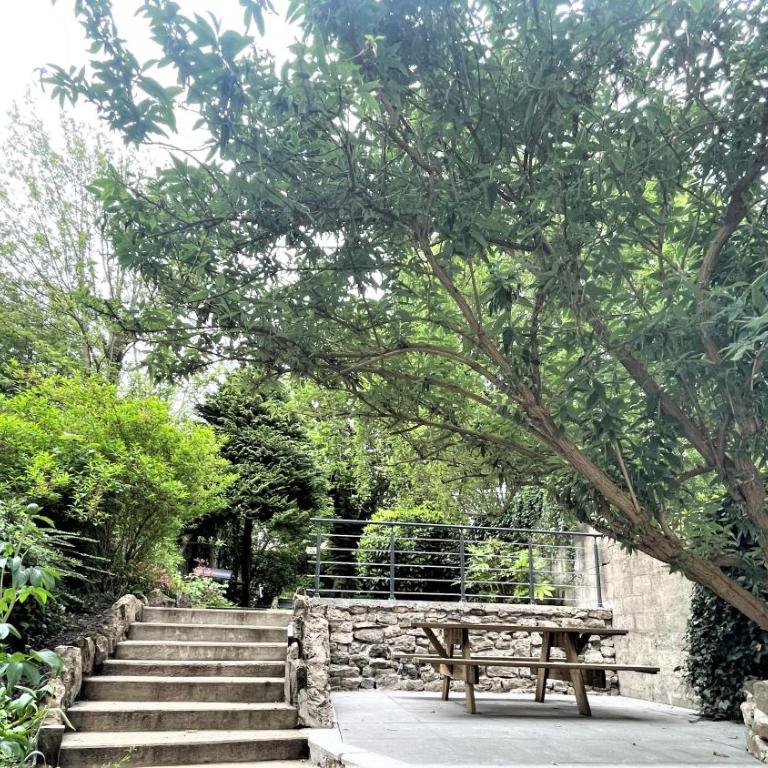 Au jardin de la Basilique - Appartement - 13