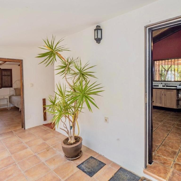Villa Buenavista Malaga - Stunning Views - Private - Villa with Private Pool - 27