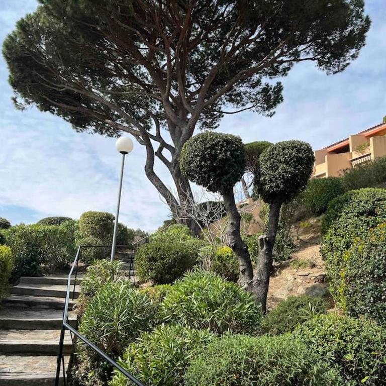 Appartement La Madrague - Apartamento de 1 dormitorio - 25