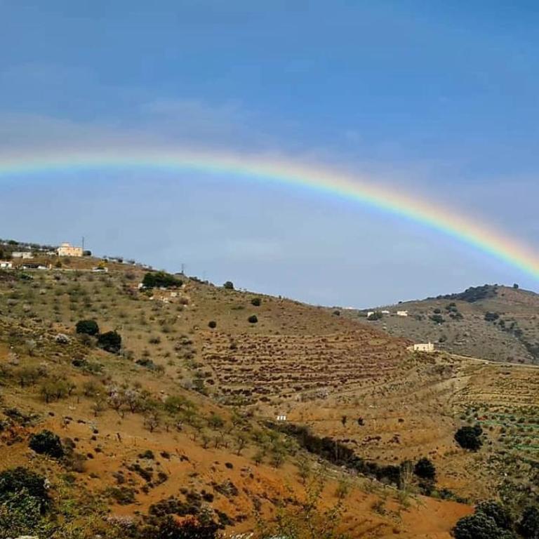 Cortijo Las Pilares - Two-Bedroom House - 26