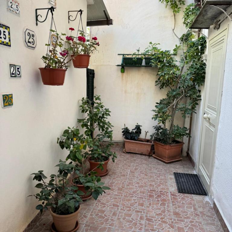 Holiday mondello - Haus mit 2 Schlafzimmern - 48
