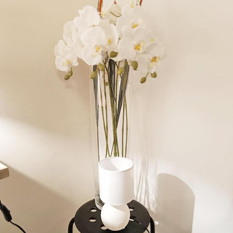 Sylvie8, T2, centre Luchon, jardin, 4 personnes - Appartamento con 1 Camera da Letto - 12