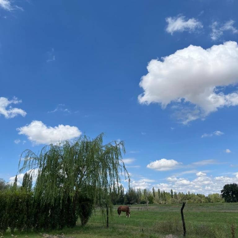 Cabaña May - Complejo Maylu - Chalet de 1 dormitorio - 6