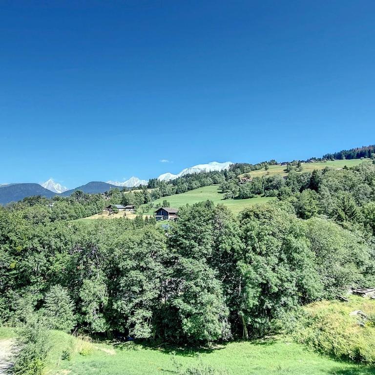 Appartement neuf avec vue Mont Blanc, parking et wifi à Combloux - Appartement 3 Chambres - 20