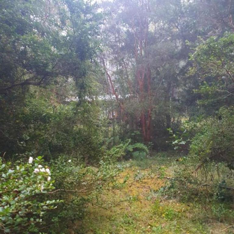 CABAÑA ENTRE ARRAYANES Y COPIHUES Selva VALDIVIANA - Two-Bedroom House - 13