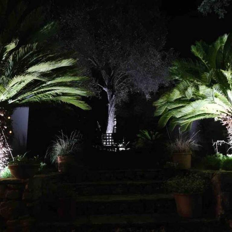 10mn de Cannes, villa entière de 150m2. - Villa - 2