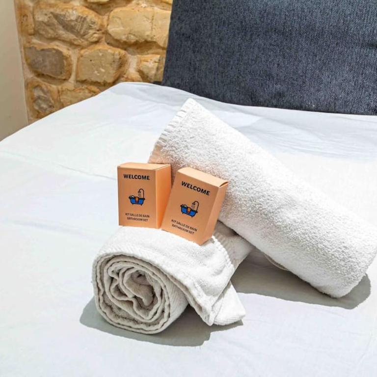 Appart Tour Eiffel / Champs de Mars - Appartement 1 Chambre - 10