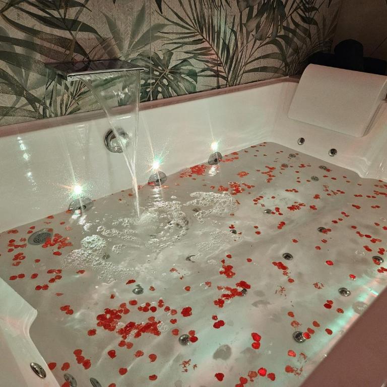 Suite romantique tropicale - Apartment mit 1 Schlafzimmer - 7