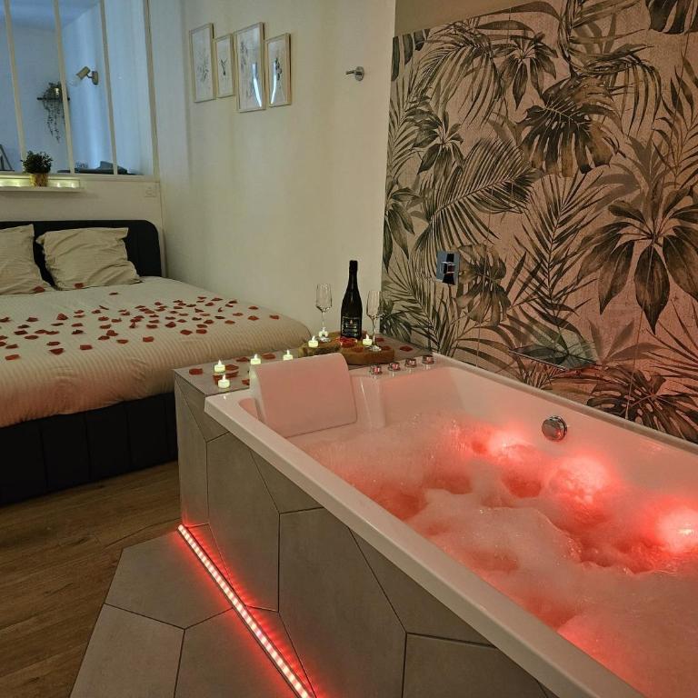 Suite romantique tropicale - Apartment mit 1 Schlafzimmer - 9