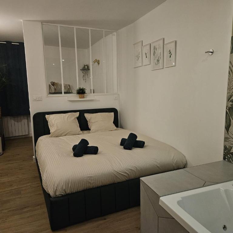 Suite romantique tropicale - Apartment mit 1 Schlafzimmer - 11