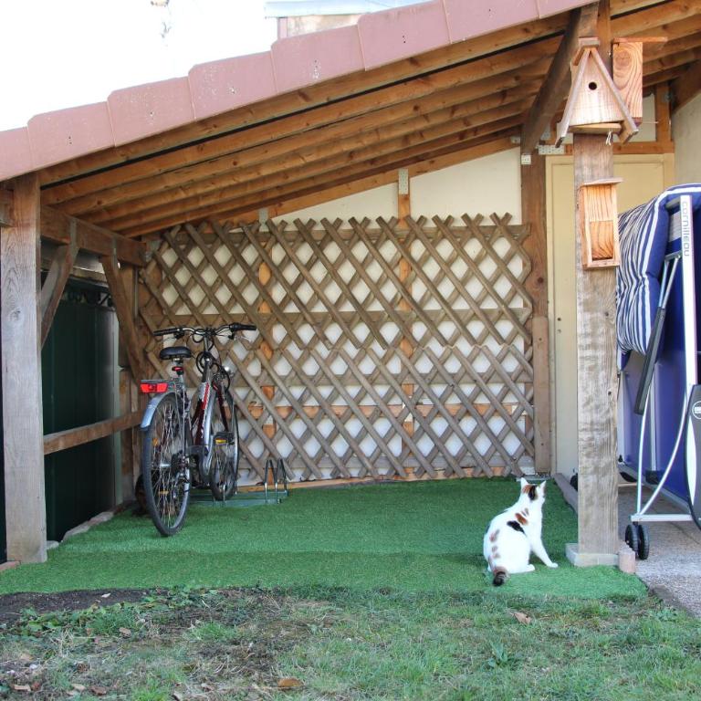 Meublé 2* climatisé dans un quartier calme - Appartement 1 Chambre - 12