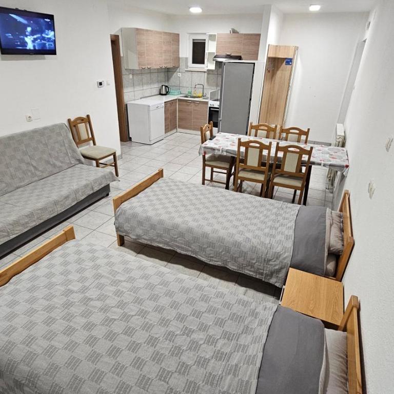 DASS apartmani - Porodični Apartman Tipa "Suite" sa Balkonom - 9