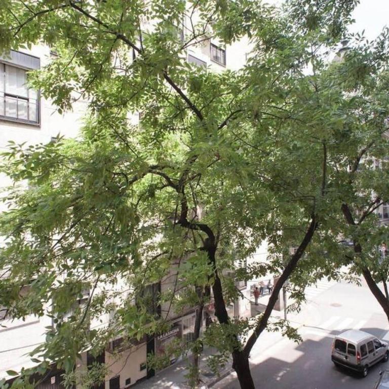 Hermoso Departamento en Recoleta - Apartamento de 1 dormitorio - 3