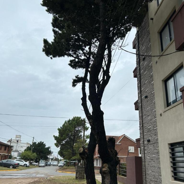 Complejo Médanos - Apartamento Deluxe de 1 dormitorio con vistas al jardín - 10