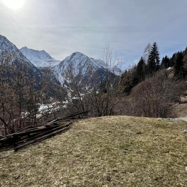 Maso dei Sogni - Vermiglio / Tonale - Appartamento con 1 Camera da Letto - 10