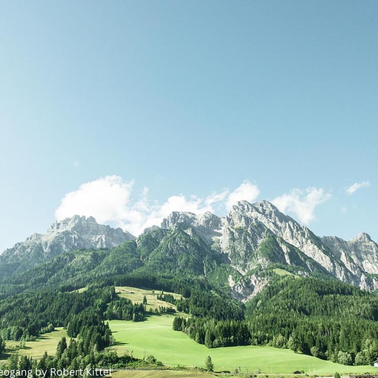 KUCKUCK Leogang by we rent, Saalfelden Leogang Card included - Apartment - 8