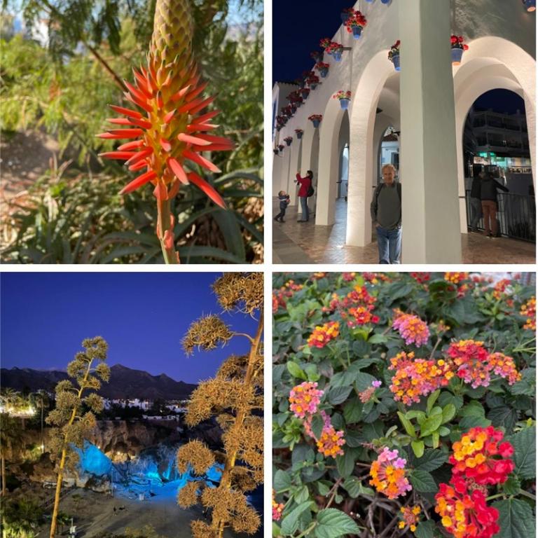 Lovely studio Nerja ground floor - Apartamento de 1 dormitorio - 29