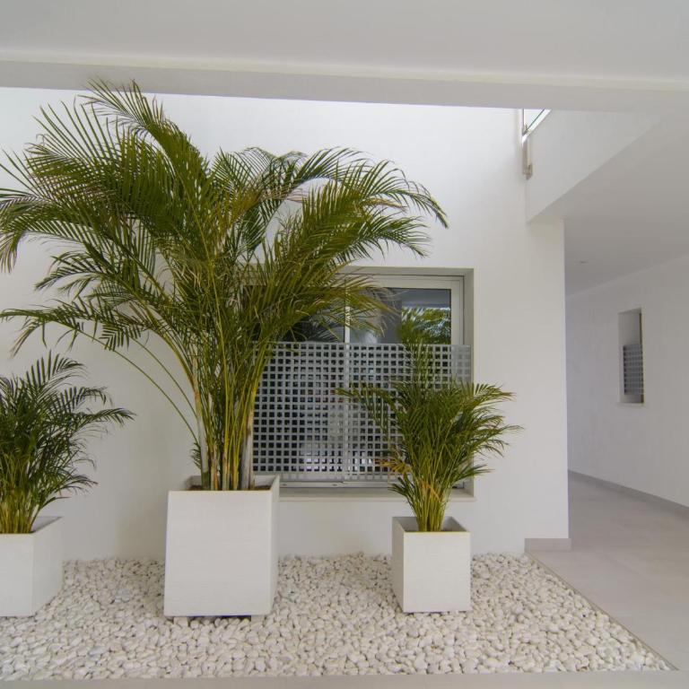 Brand new apartment in Belaire, pools, garden - Apartment - 26