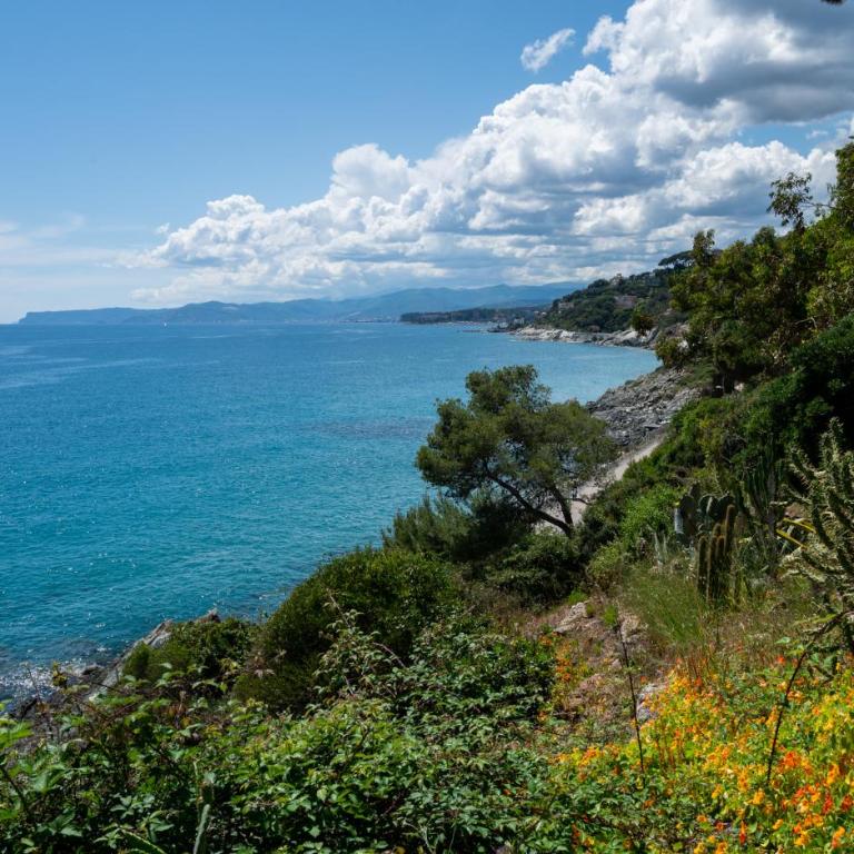 New Open Space - WiFi - Smart TV - Sea at 2 minutes - Apartamento de 1 dormitorio - 17