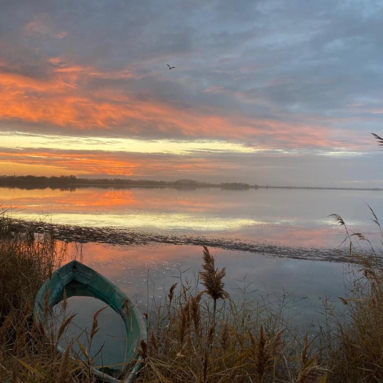 Hôtel Le Neptune en Camargue - Chambre Double – Vue sur Lac - 4