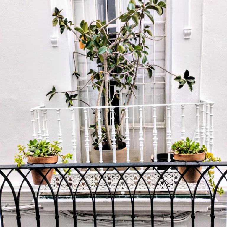 ALOJAMIENTO LANZA en el CORAZÓN DE SEVILLA - Apartamento de 1 dormitorio - 5