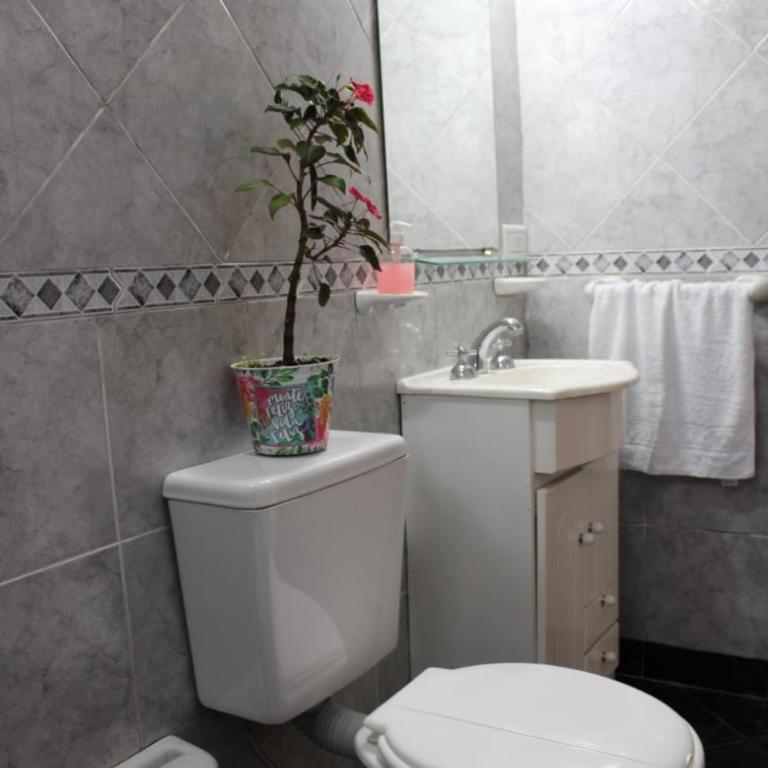 Hospedaje BAHUINIAS II - Apartamento de 1 dormitorio - 7