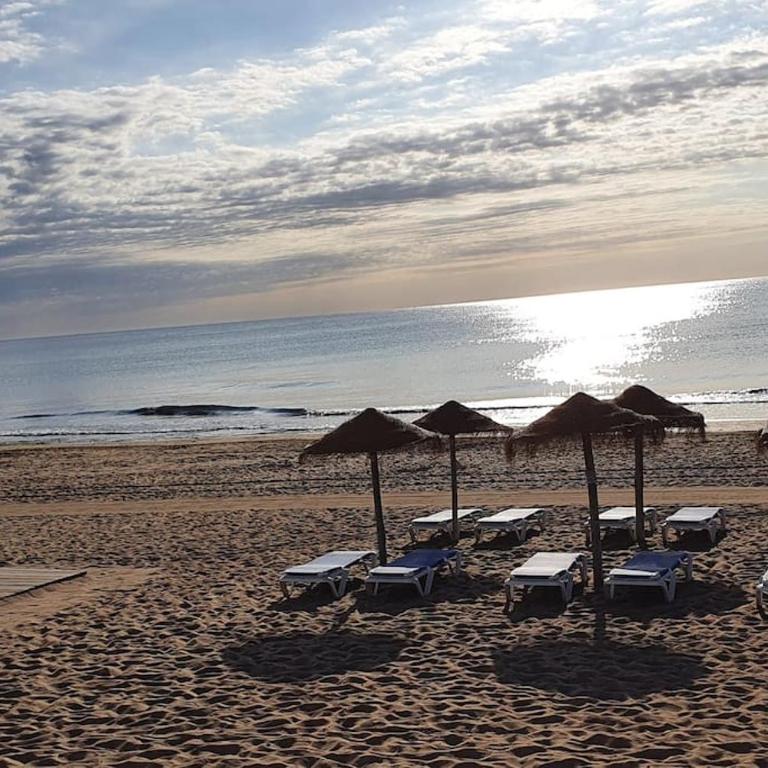 BosqueMar - 3 minutes walk to sunny La Mata beach - Apartamento de 1 dormitorio - 15