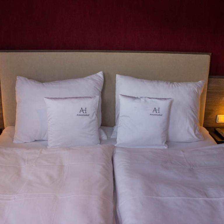 Hotel Antoniushof 3 Sterne Superior inklusive Super Sommer Card 2026 - Suite con Vista Montagna - 8