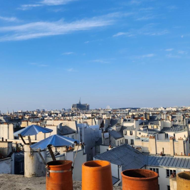 Rooftop Duplex cosy apartment 100m2 - Appartement avec Terrasse - 15