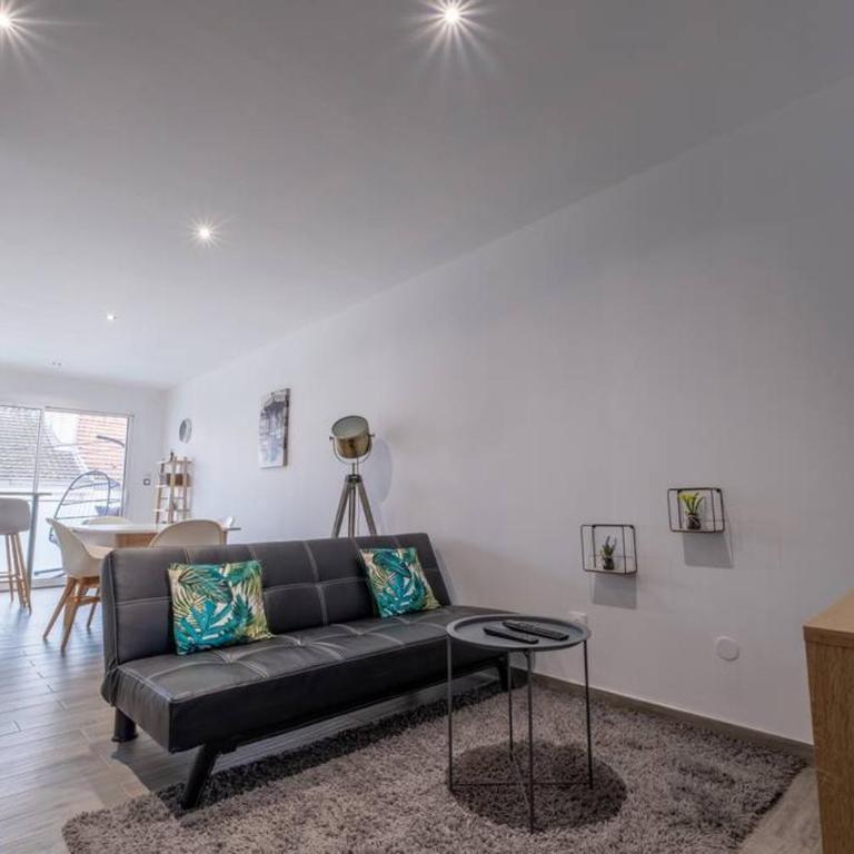 Le Trianon - Parking Privé - Appartement 1 Chambre - 11