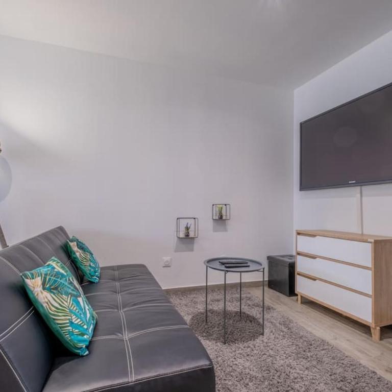 Le Trianon - Parking Privé - Appartement 1 Chambre - 23