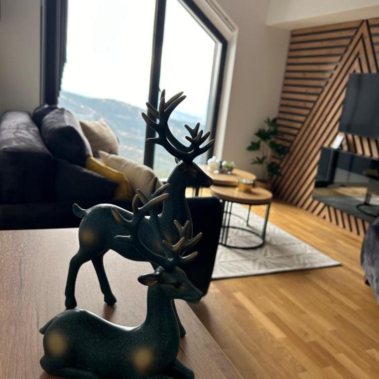 Divcibare Vrh 26 - Apartman sa 1 Spavaćom Sobom - 9