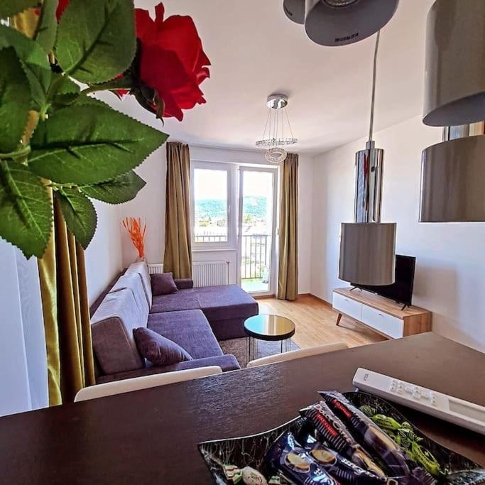 Apartment D ,with garage - Apartman sa 1 Spavaćom Sobom - 9