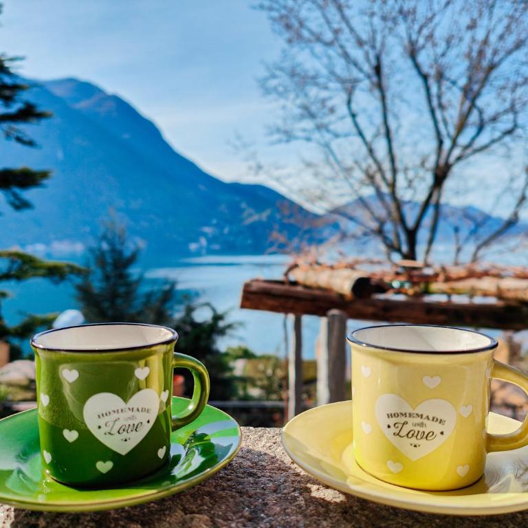La Castignola con vista lago di Lugano e giardino condiviso - Appartamento con 1 Camera da Letto - 16