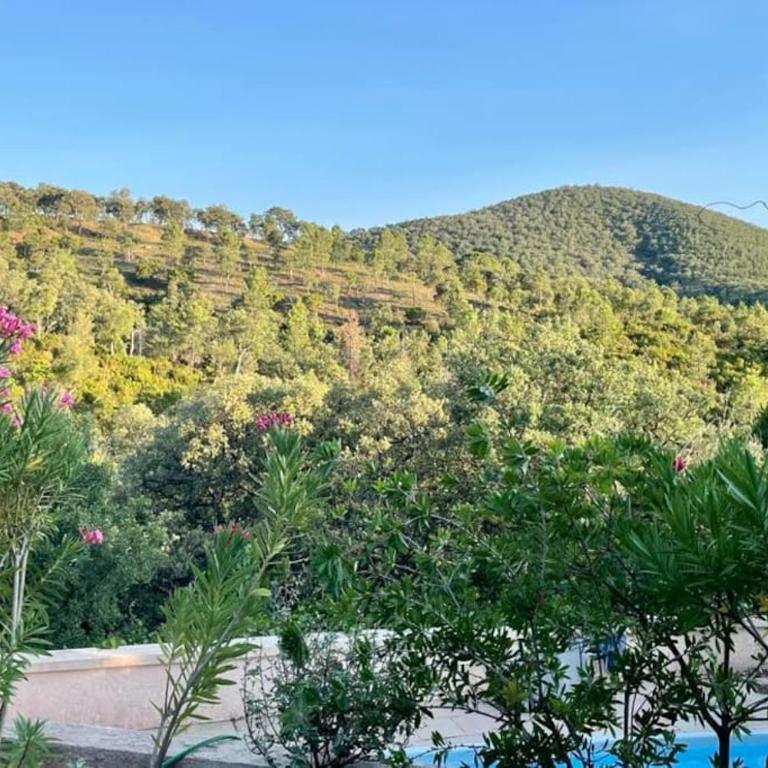 La petite maison sur la colline - Piscine privée - Maison 2 Chambres - 1