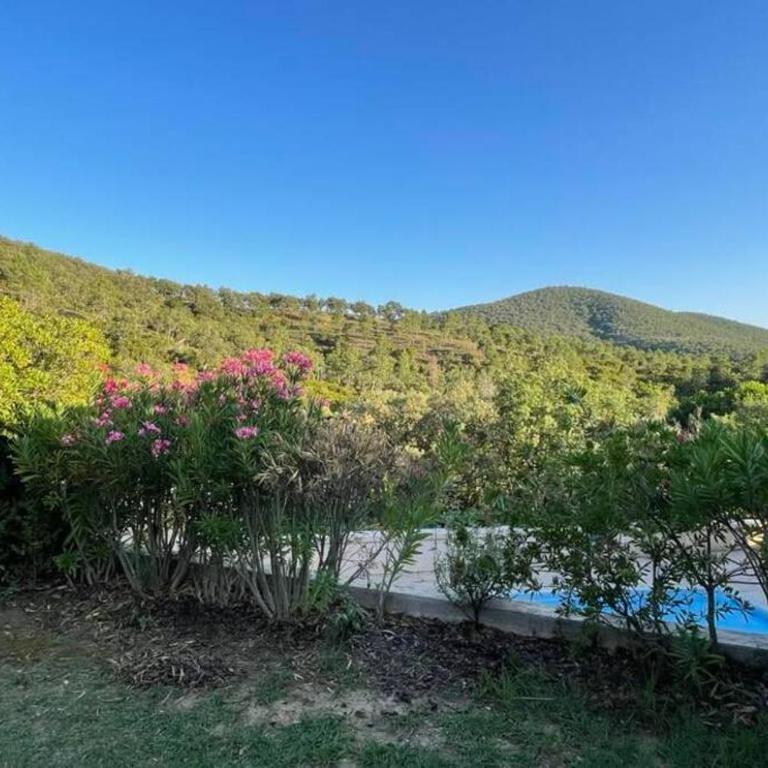 La petite maison sur la colline - Piscine privée - Maison 2 Chambres - 24