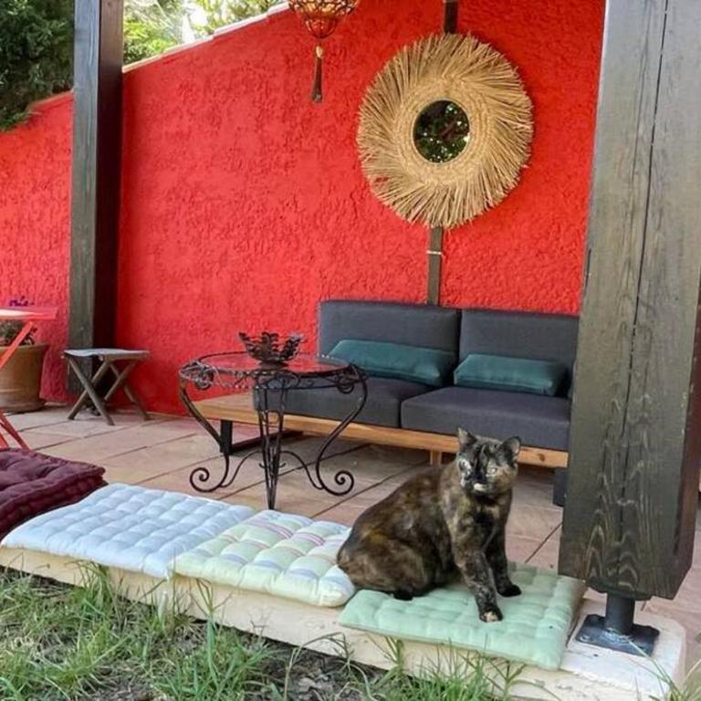 La petite maison sur la colline - Piscine privée - Maison 2 Chambres - 29
