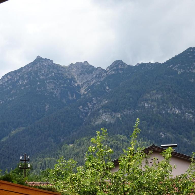 Ferienwohnung Ambiente - Appartamento con Vista Montagna - 27